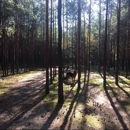 Choszczowka - Mieszkanie Przy Lesie *